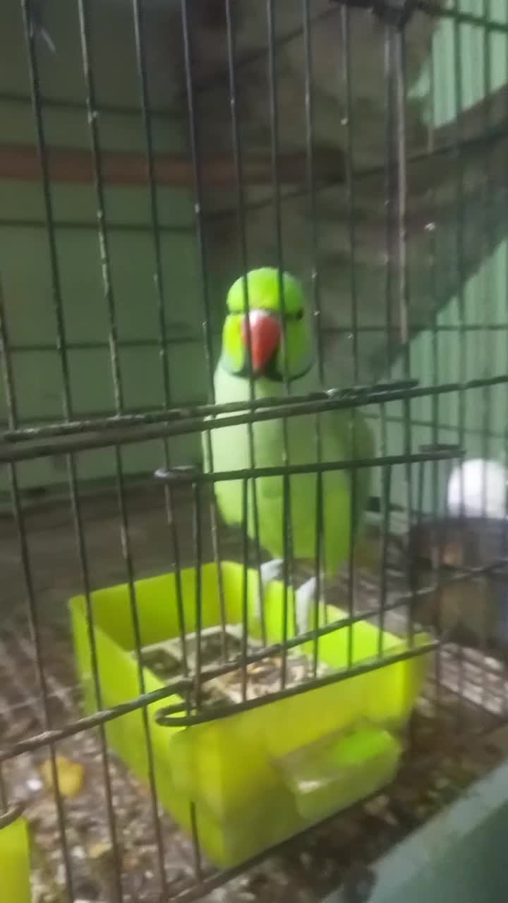 @🇦 🇼 🇦 🇮 🇸 🇧 🇺 🇹 🇹 😘
