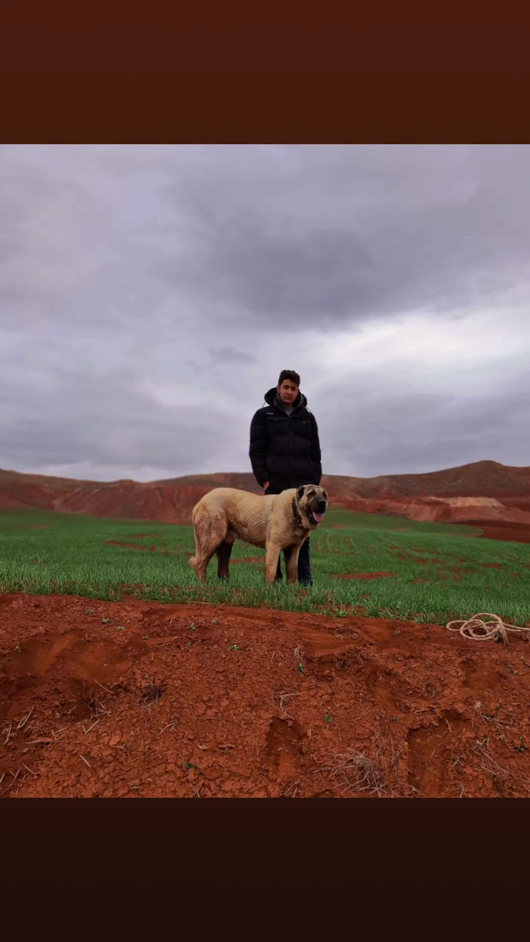 @Berat Demirtaş