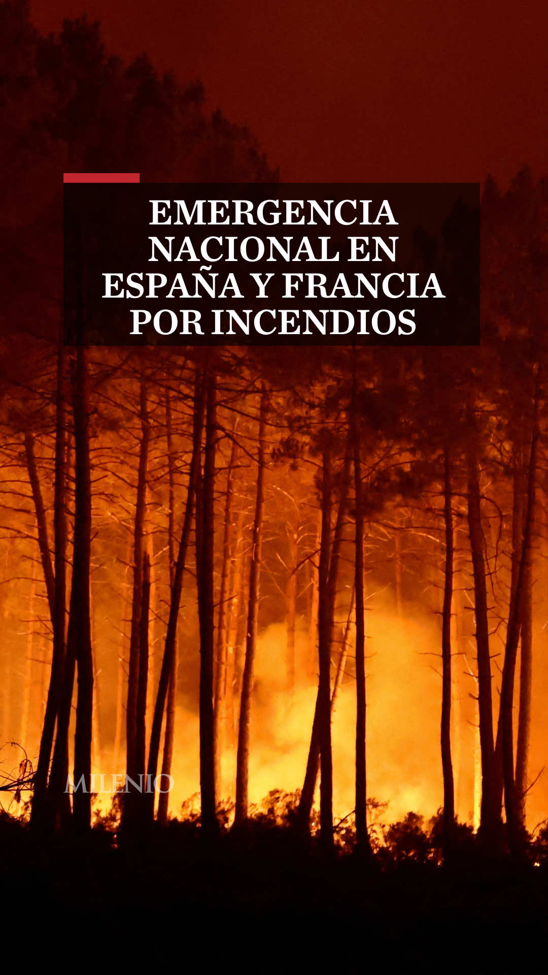 @MILENIO