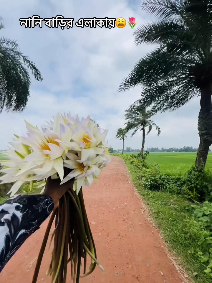 @BD_(ভন্ড)_ jihad🕊️