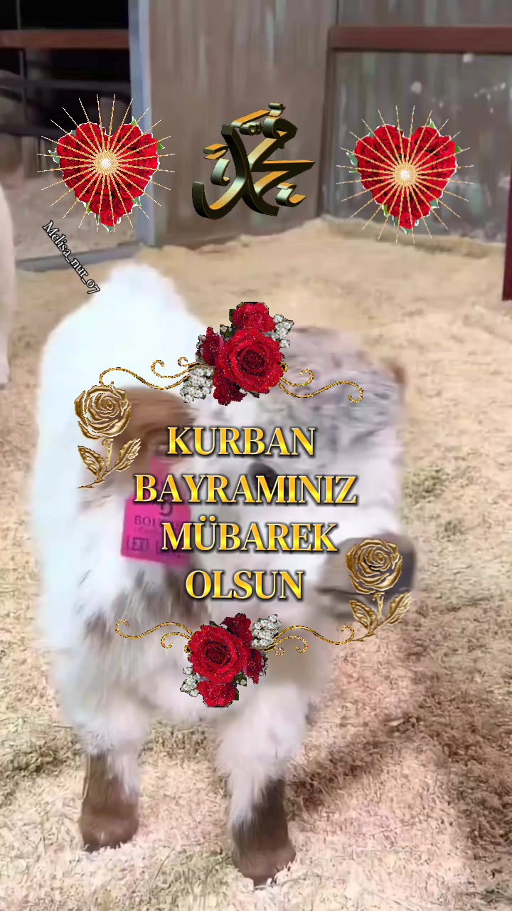 @♡★᭄ꦿ᭄ EZ   ᭄ꦿ᭄:♡MELİSA★᭄ꦿ᭄ ♡