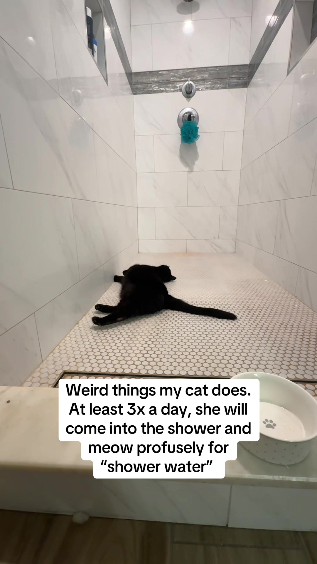 @Makenzi Kaye Fox
