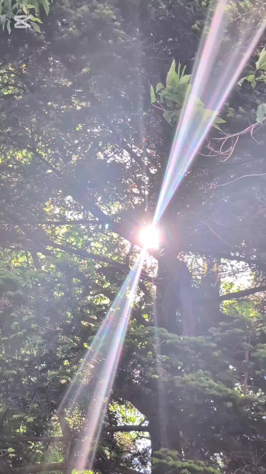 @バネ
