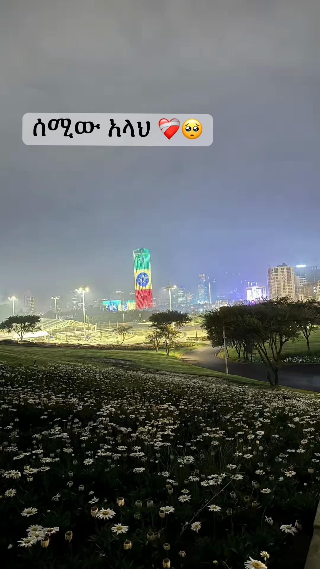 @fufunew1