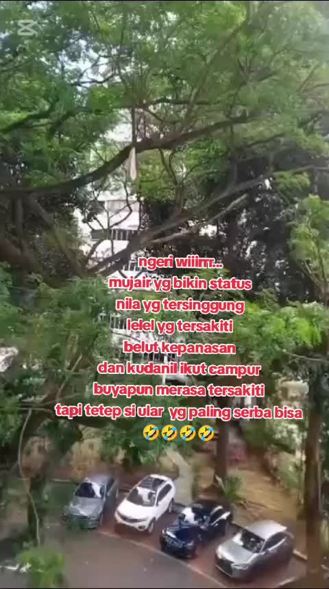 @NAIDA SUNDA