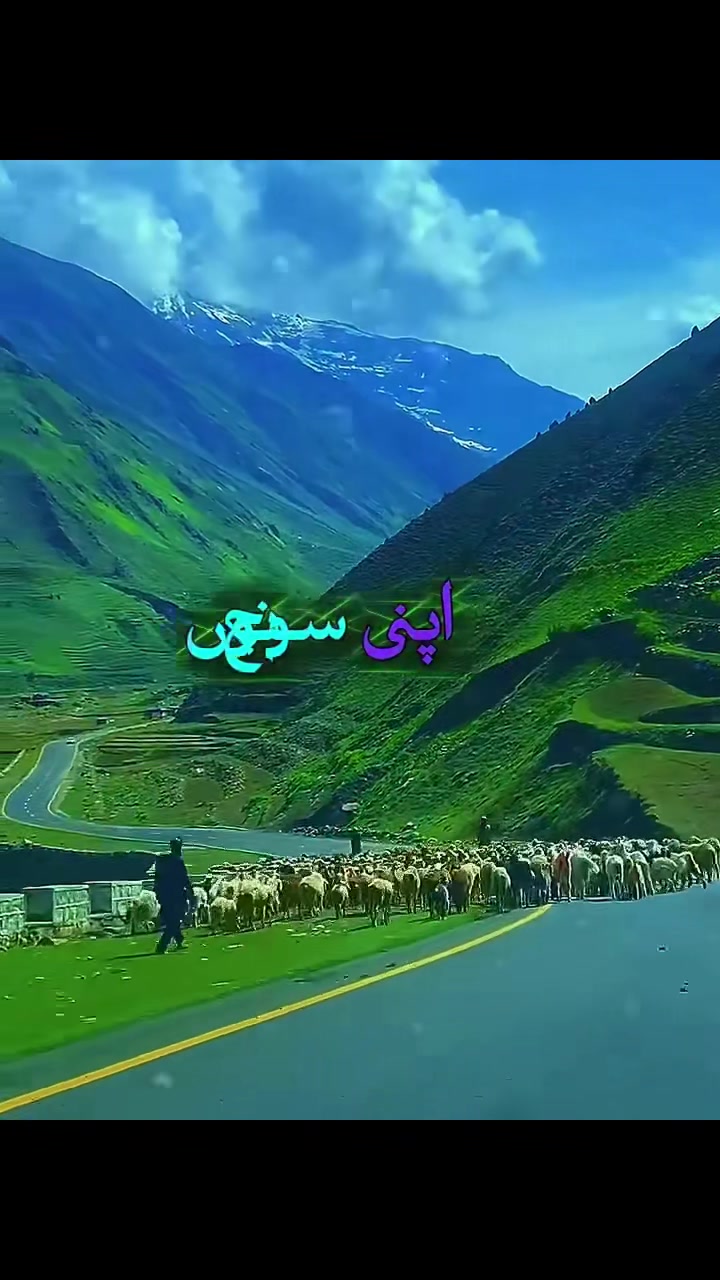 @Miss Lashari🌸