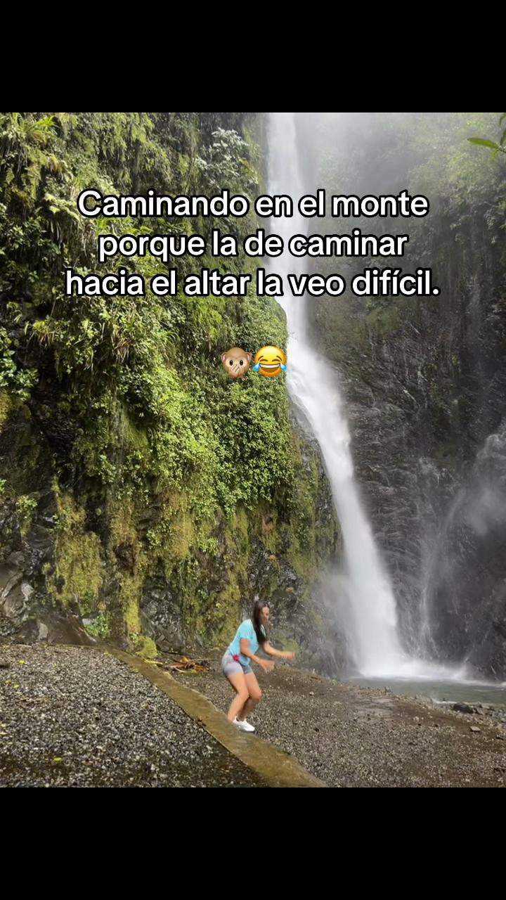@STEFY 🌻🫧