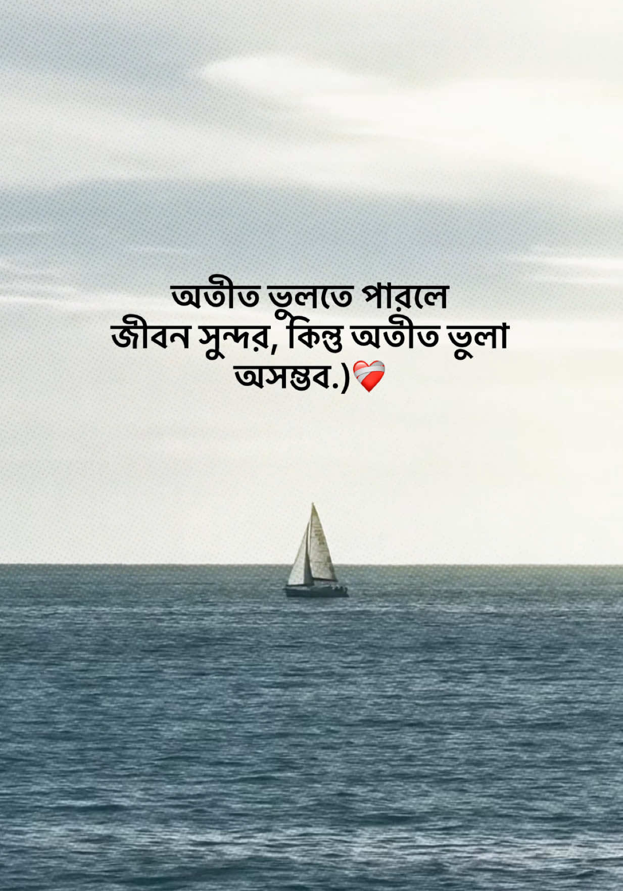 @आईएएन ┊🐥