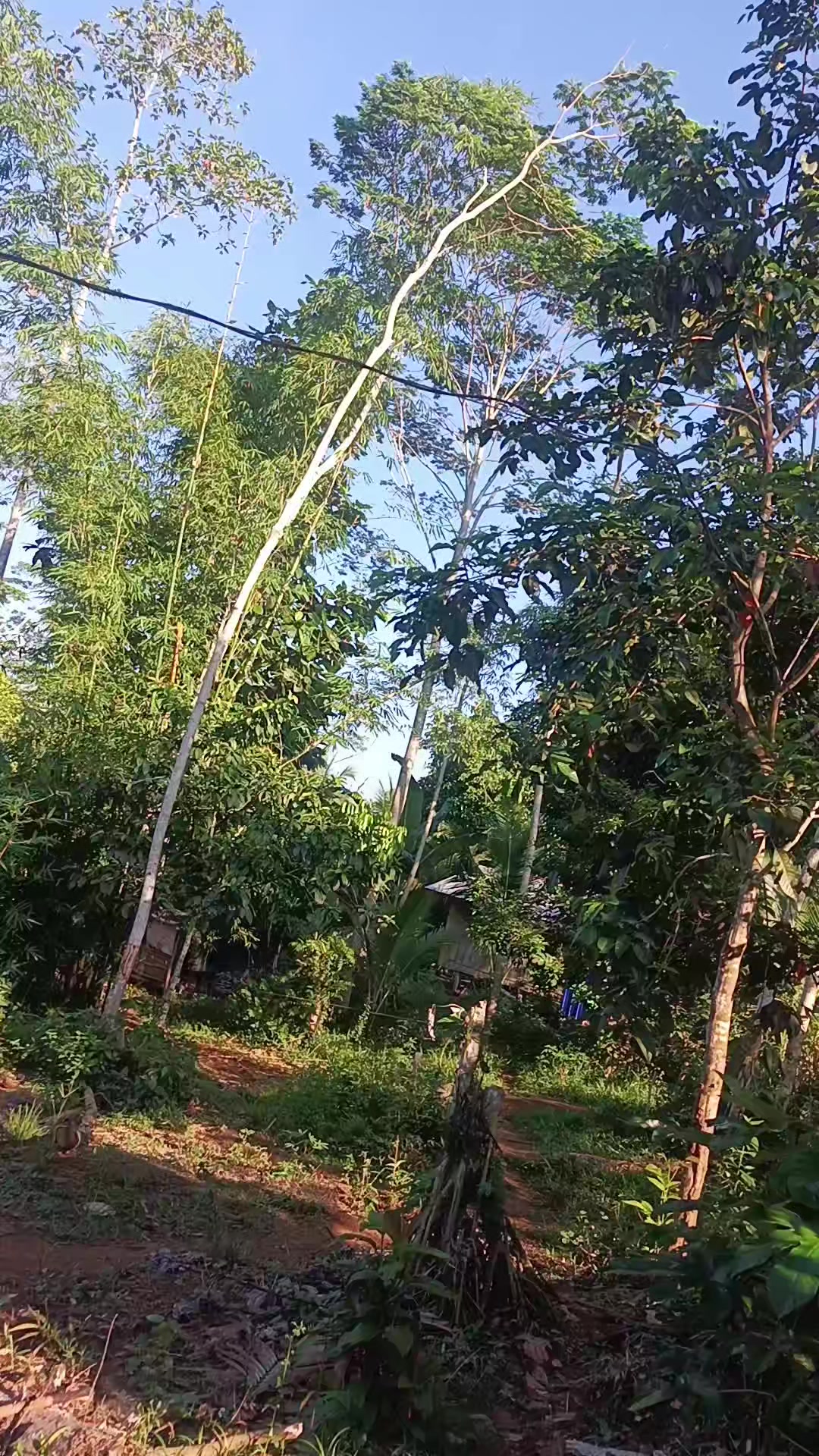 @ʙᴏss•ᴊᴜsᴛシ