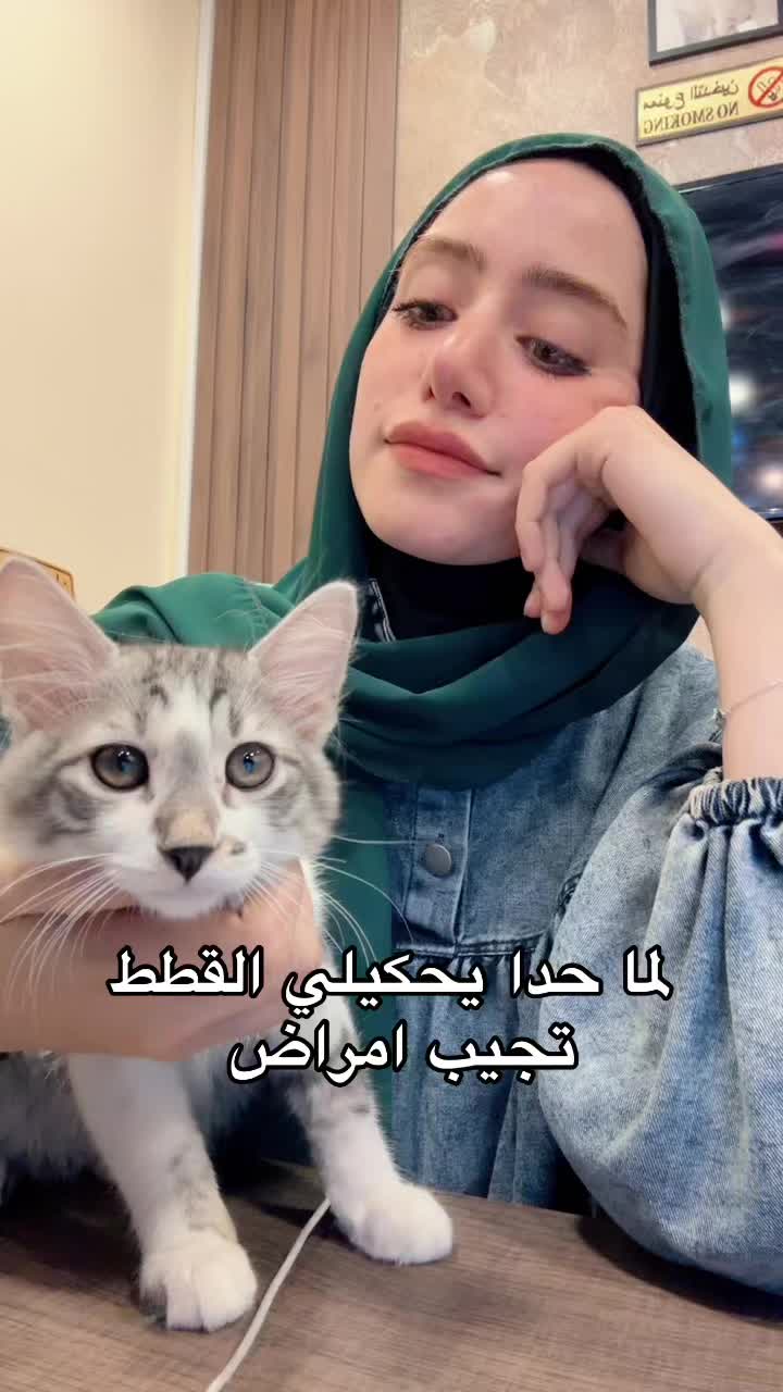 @fatoom