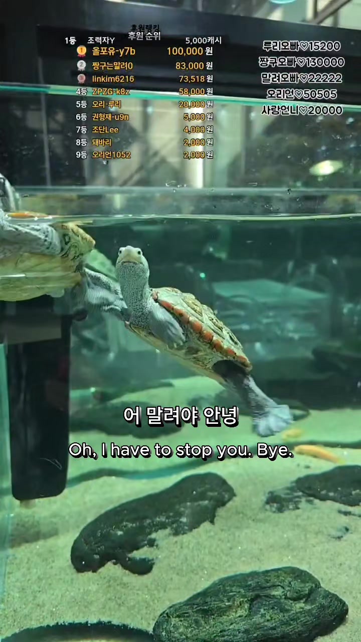 @오리티비