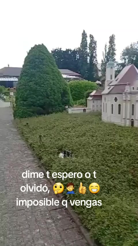 @Pedro Miguel