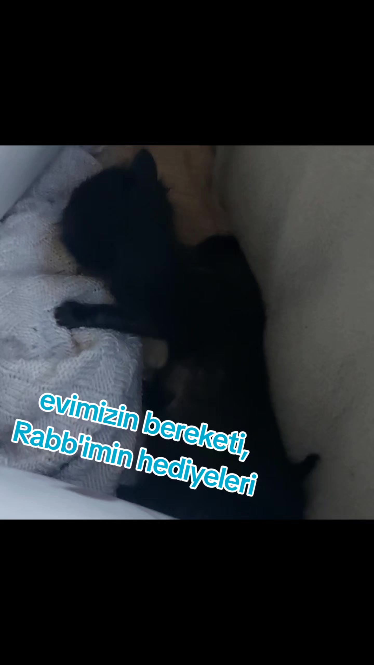 @GoncaBıçakUlaştısoy