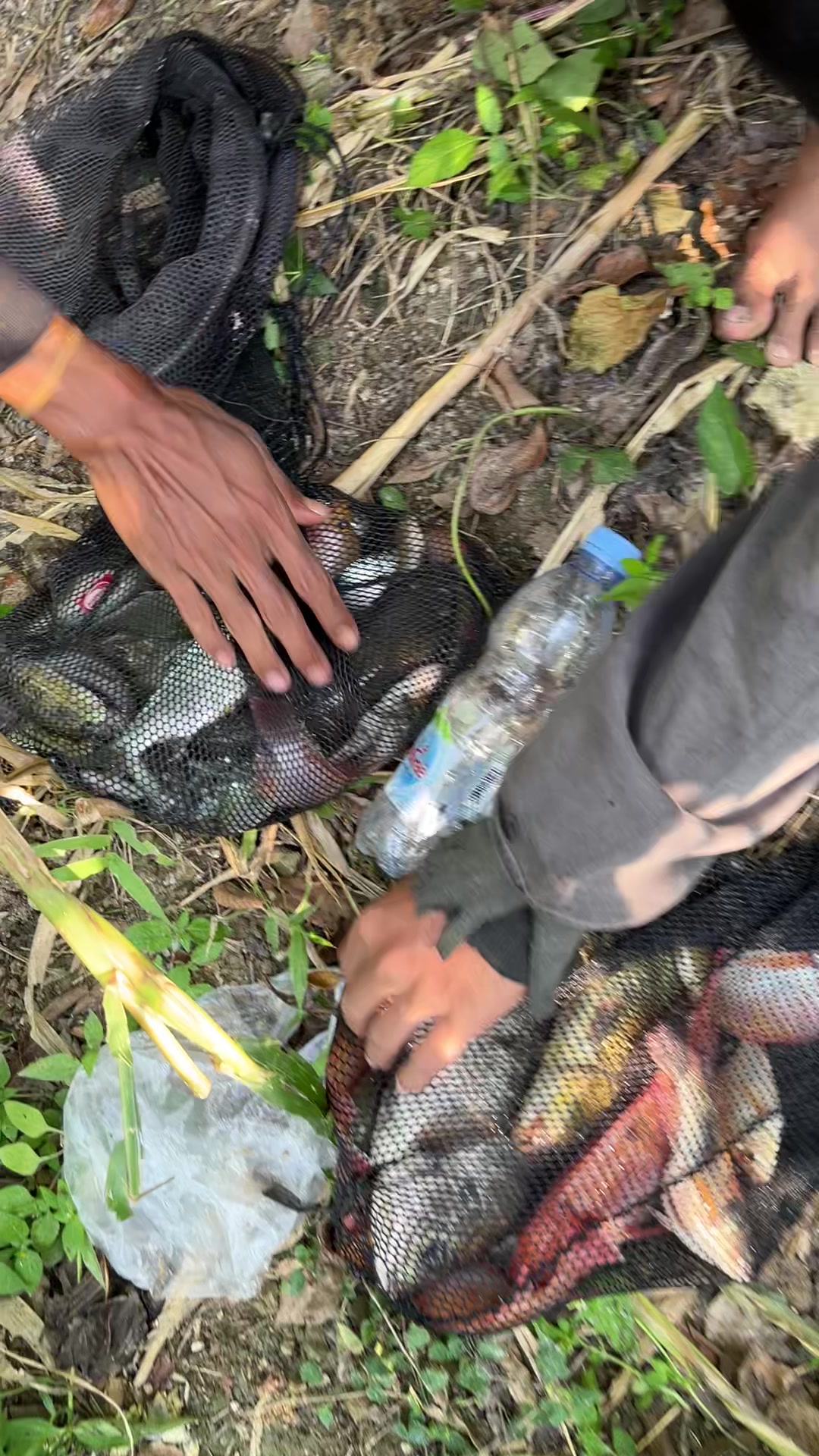 @indruz mancing