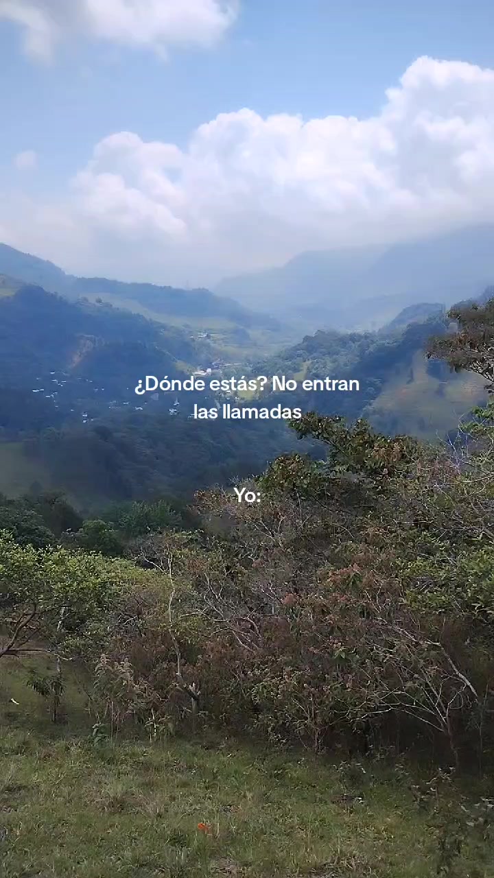 @Graciela Montes