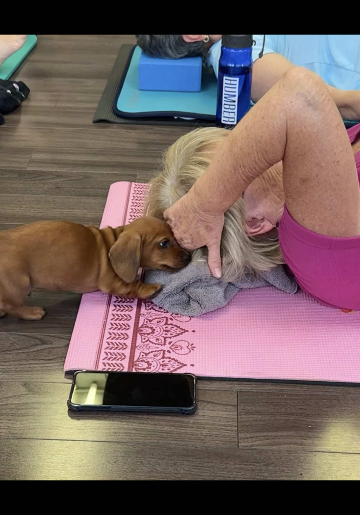 @Muskoka Puppy Yoga