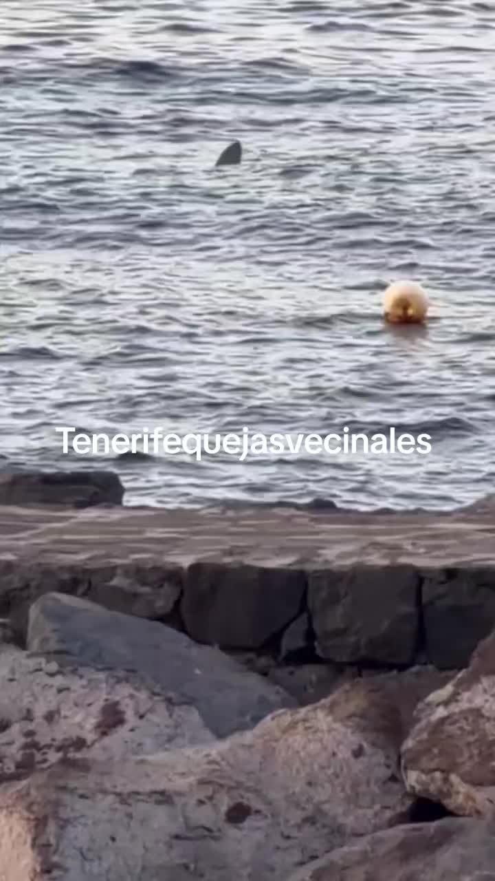 @Tenerifequejasvecinales