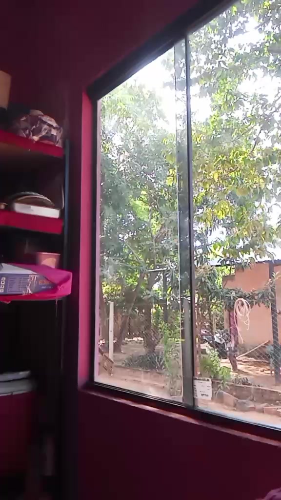 @Miguela Escobar
