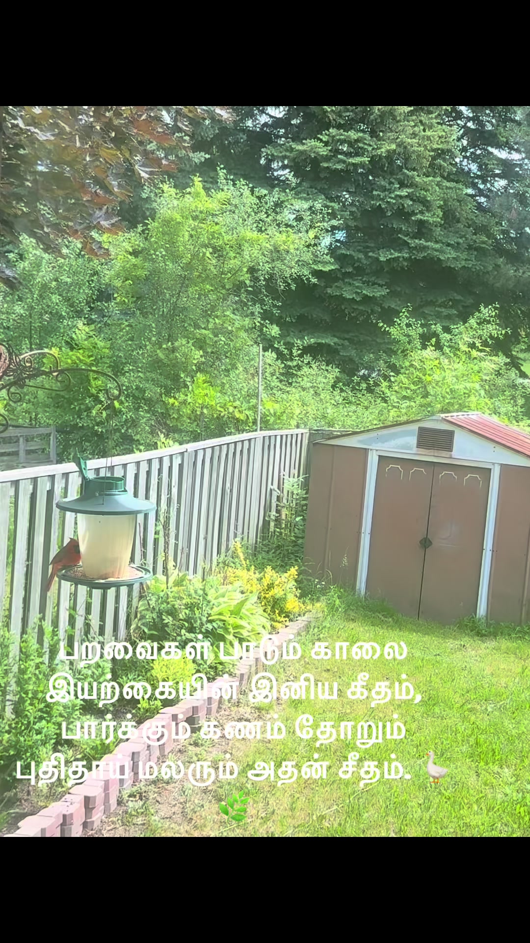 @R_Rupa