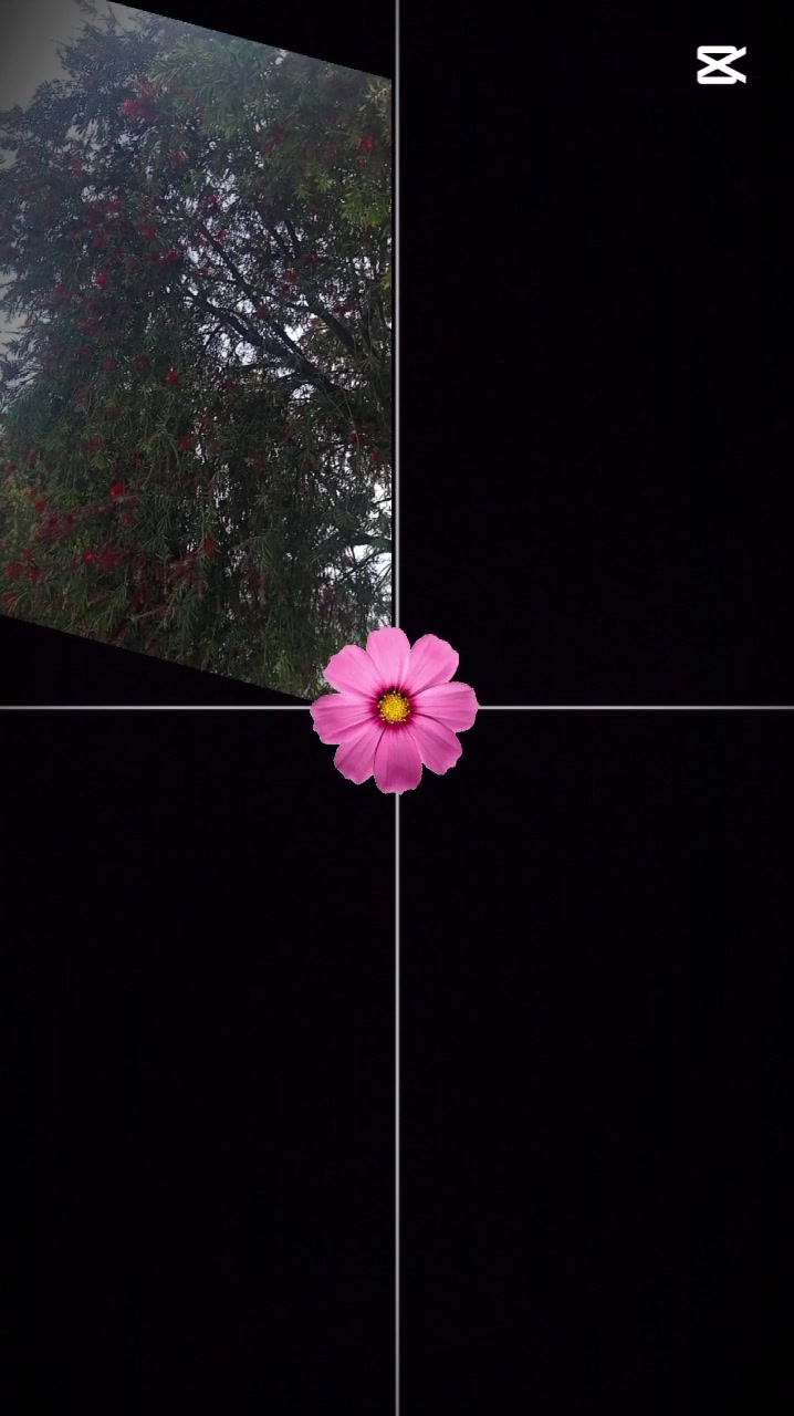@N~~~~~