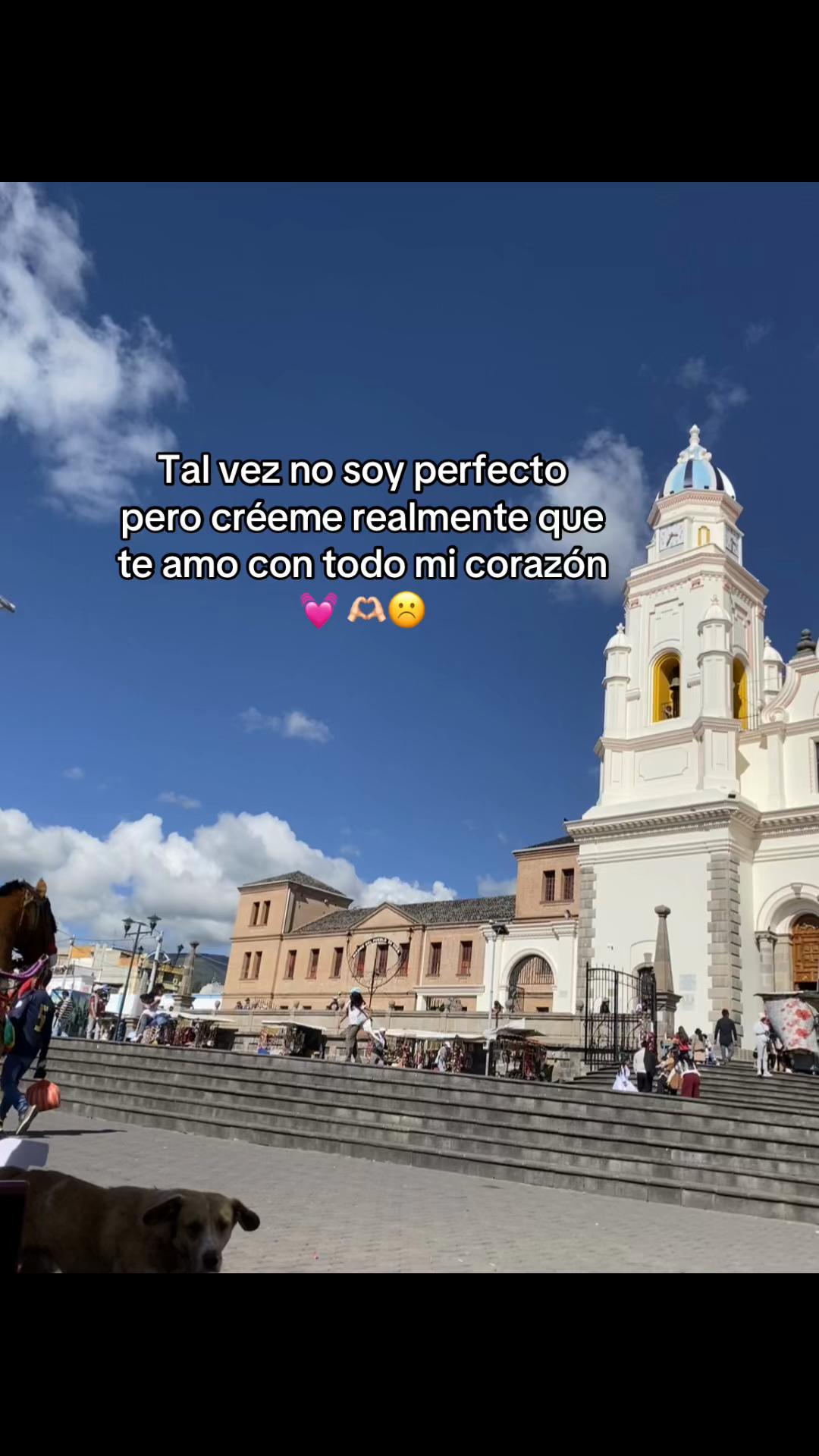 @😻robinson 