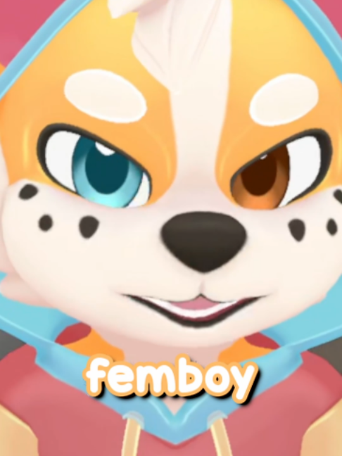 @Corgi