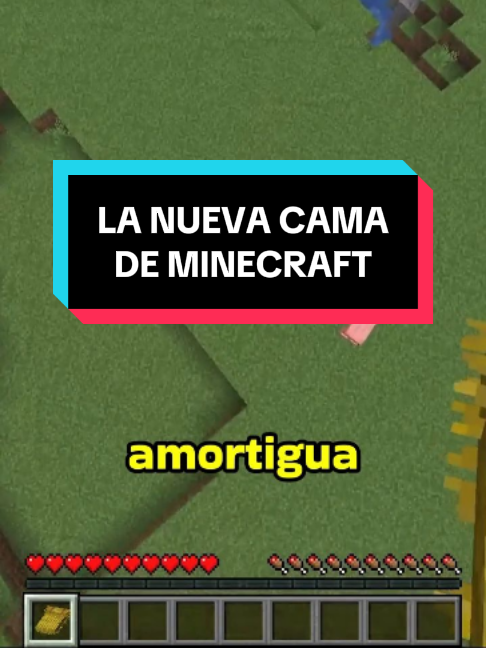 @ElChinoLNB