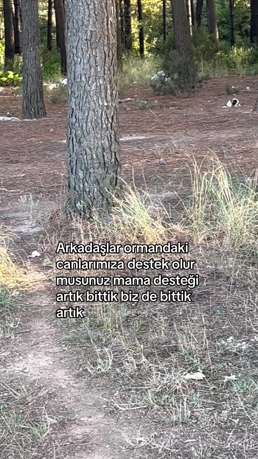 @Gönülünpatileri