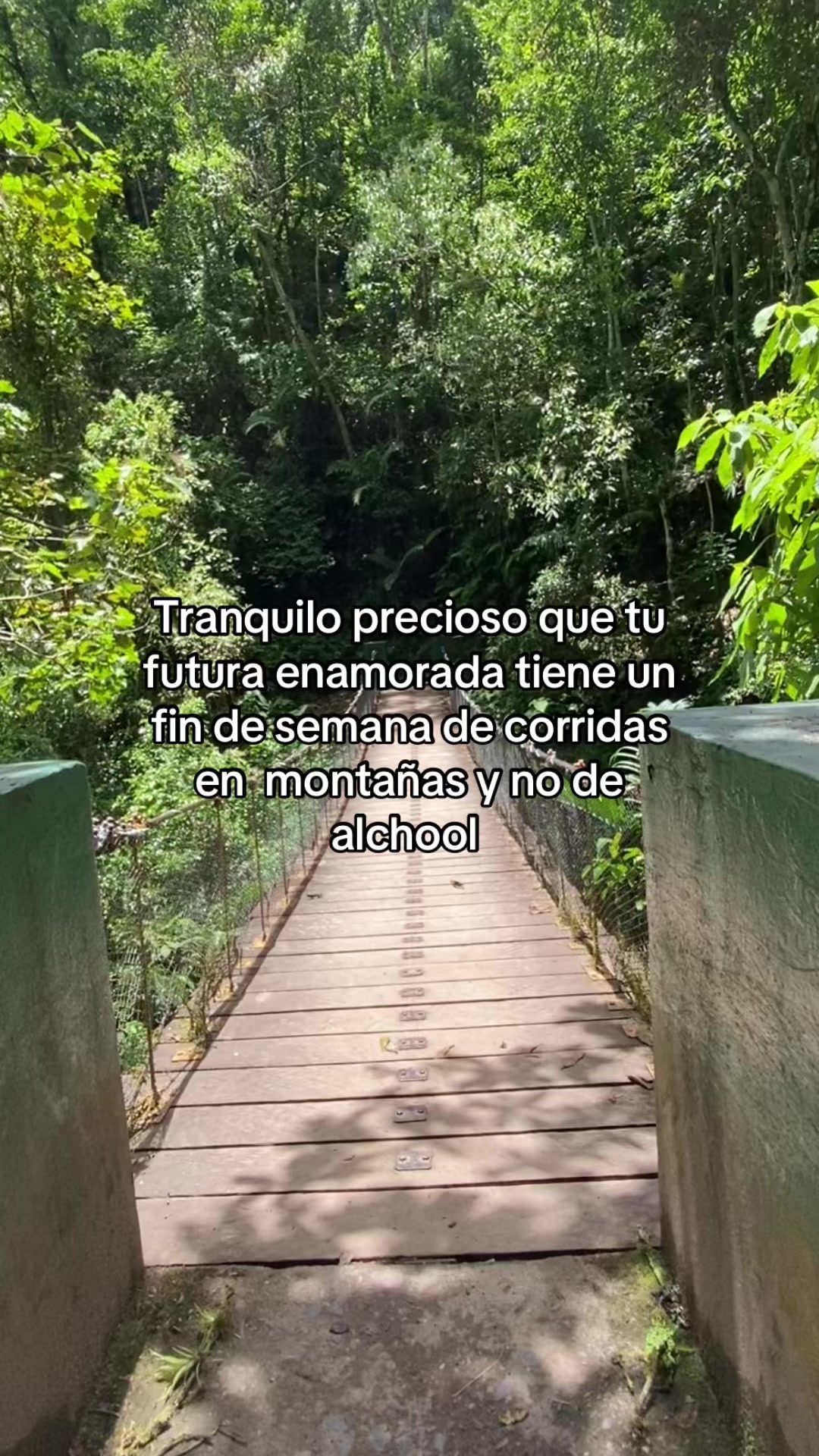 @paito_b33