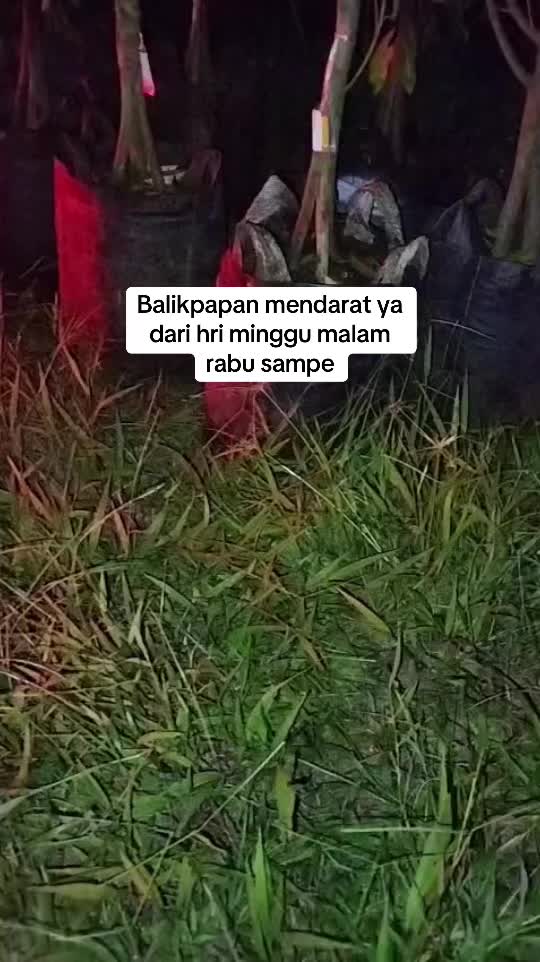 @RATU BIBIT