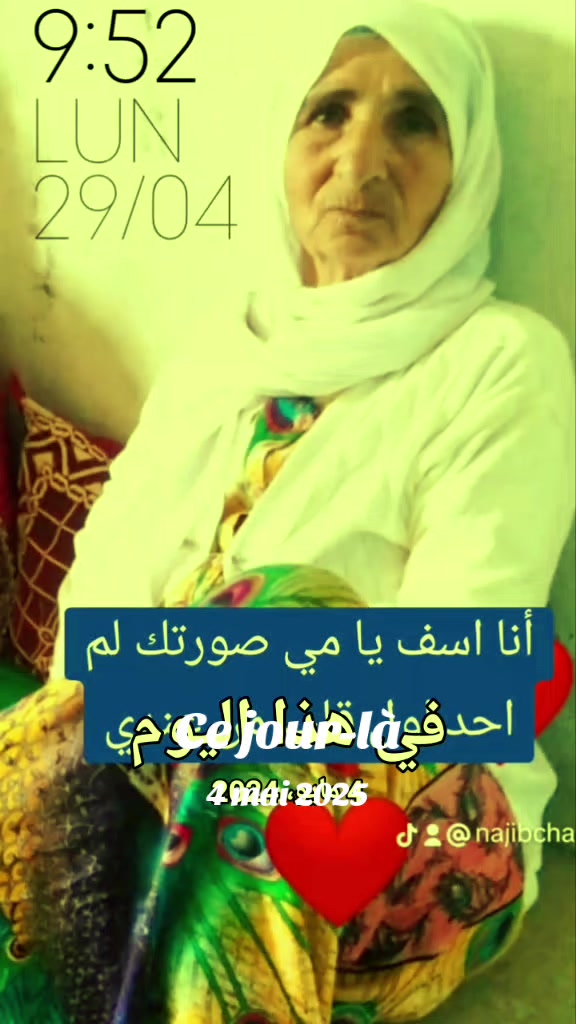 @عاشق لقطط😹