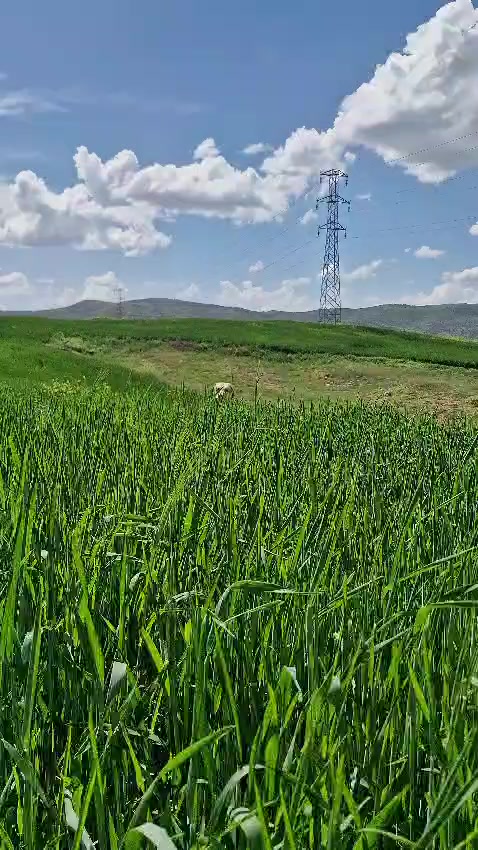 @🦋🇹🇷mrt__06🇹🇷🦋