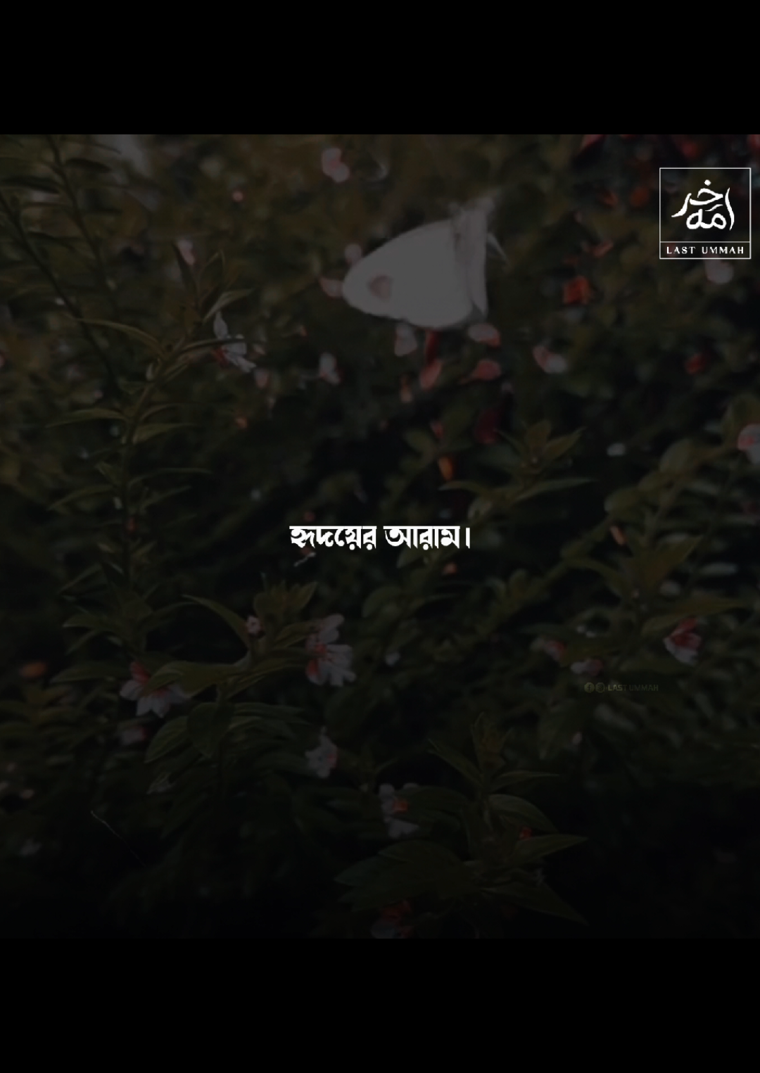 @𝐋𝐚𝐬𝐭 𝐔𝐦𝐦𝐚𝐡
