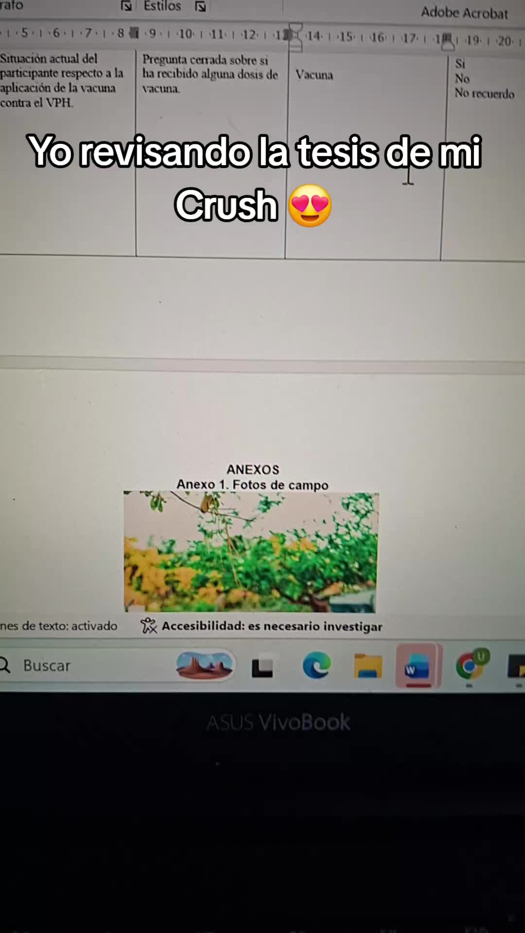 @UVR correctores de textos