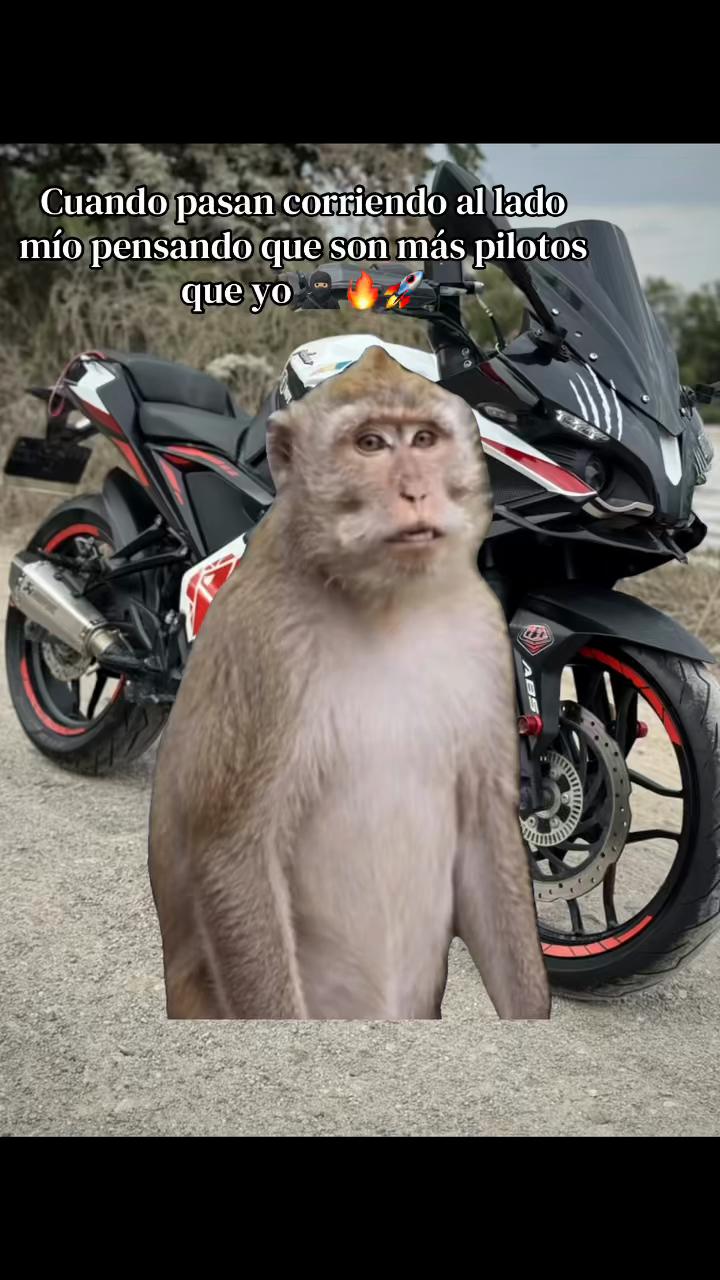 @Roy Biker