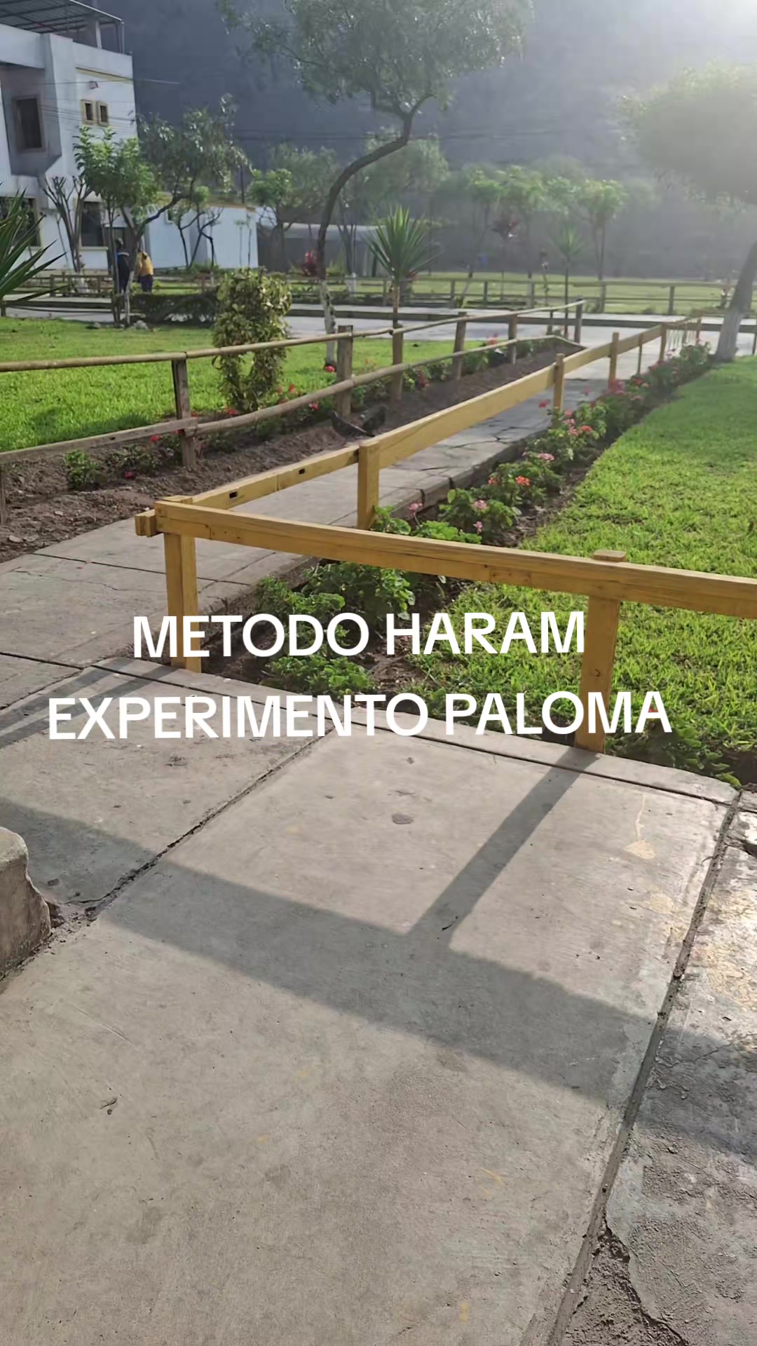 @H A R A M