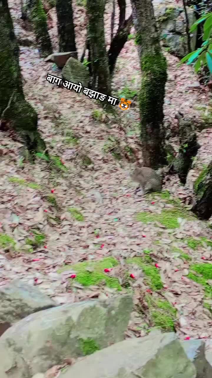 @𝗹𝗼𝗸𝗲𝗻𝗱𝗿𝗮 💪😡