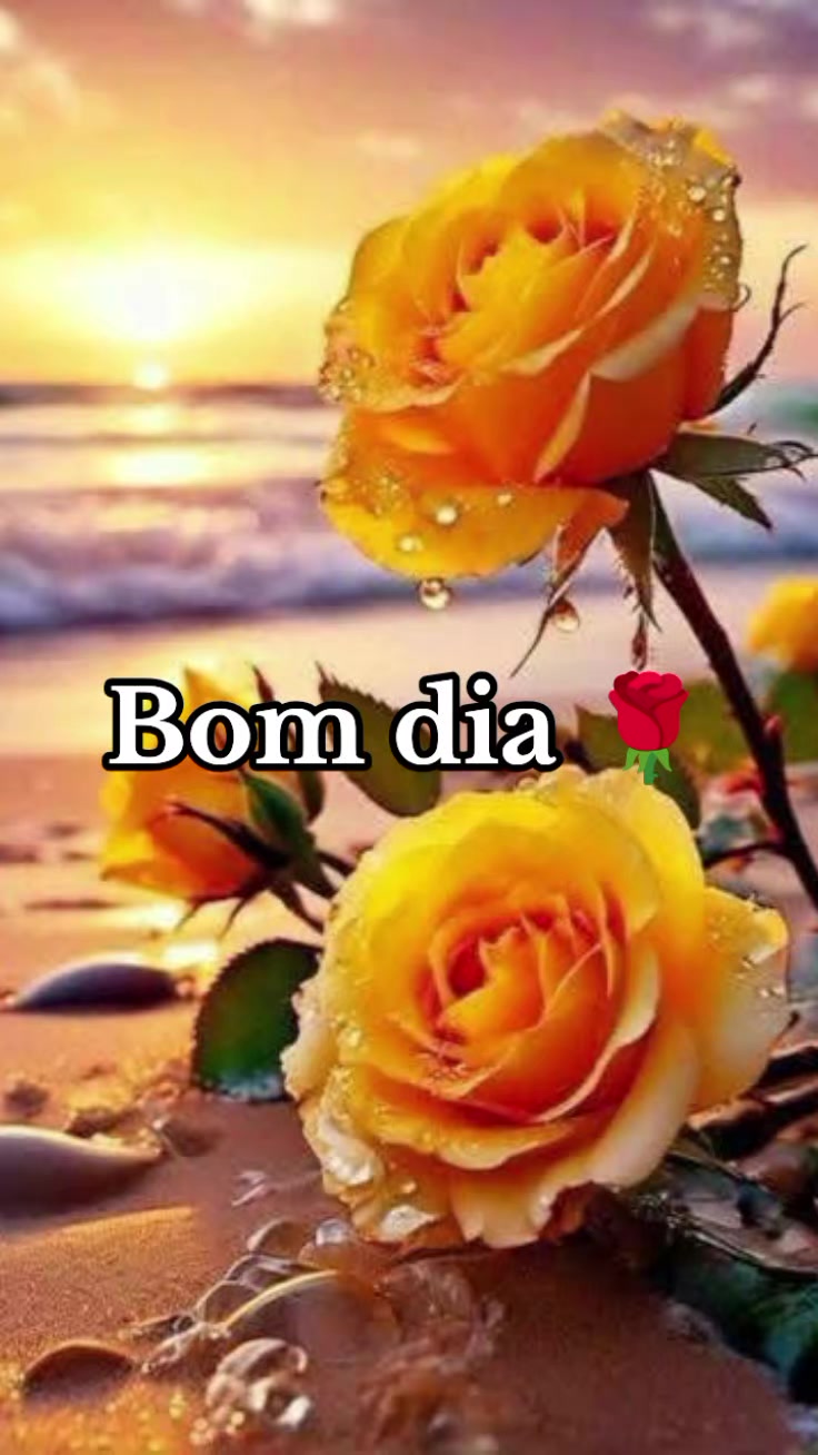 @❤Cláu🦋cris❤