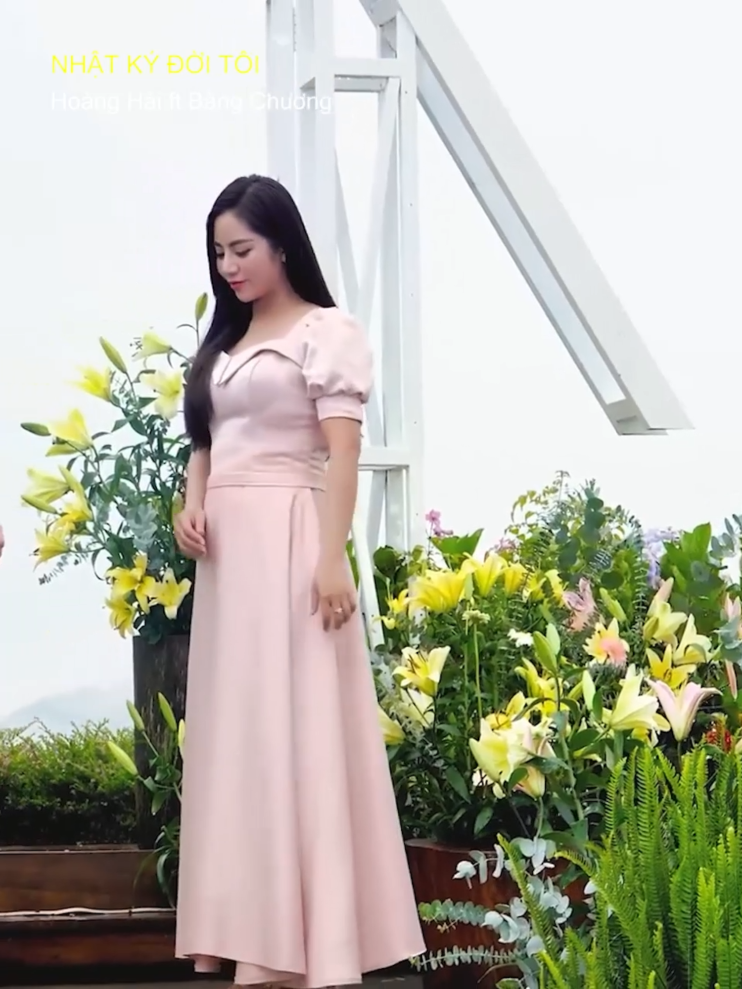 @Nam Việt Bolero
