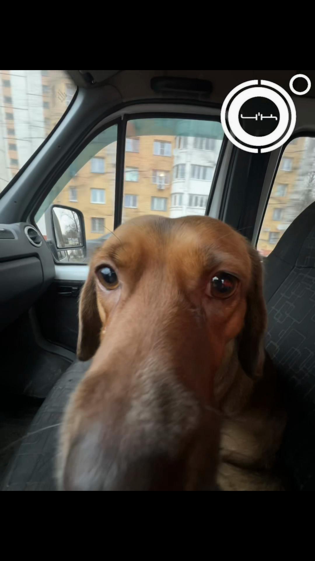 @ZTEEMK