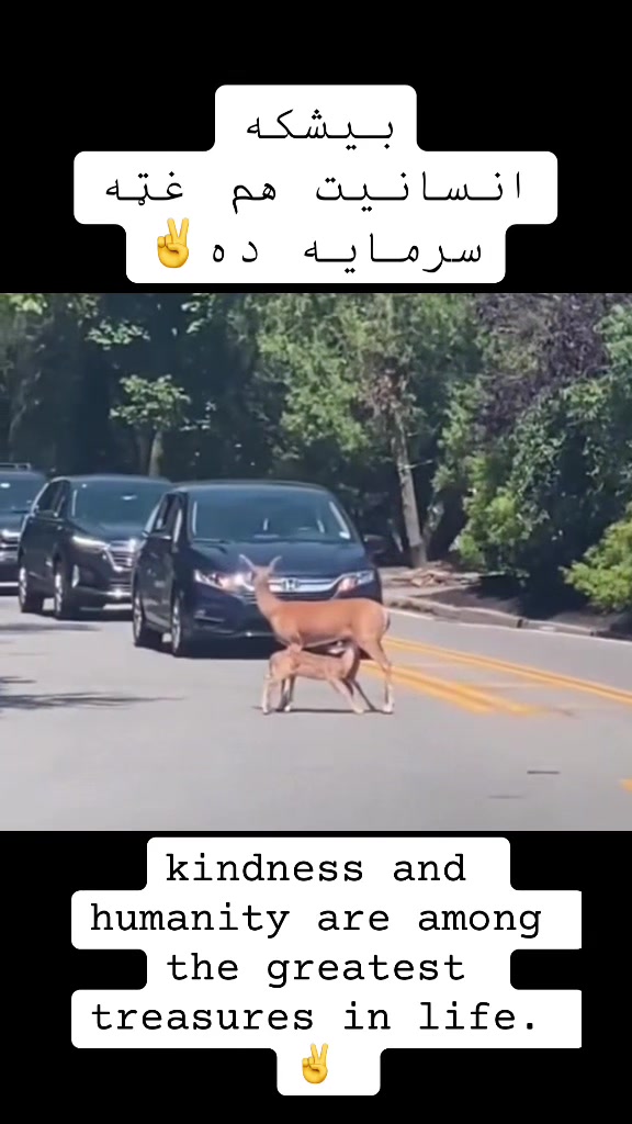 @𝕿𝖍𝖊 𝕽𝖊𝖆𝖑 𝕱𝖆𝖙𝖍𝖊𝖗✌️