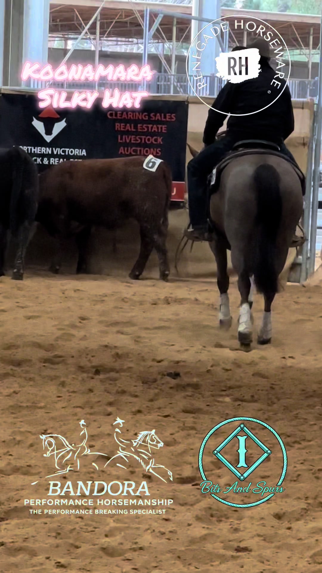 @Bandora_Horsemanship
