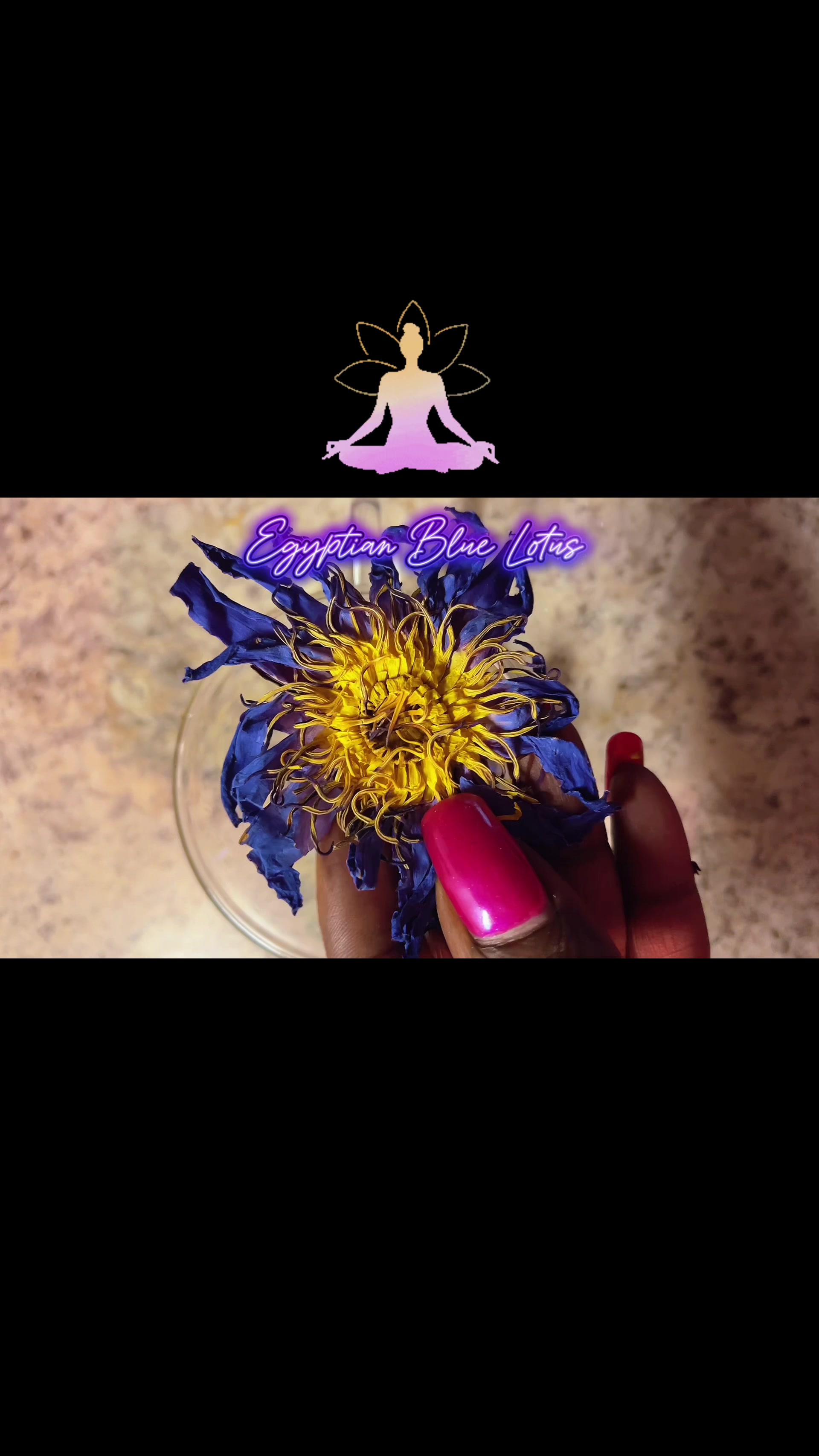 @House O Healing LLC