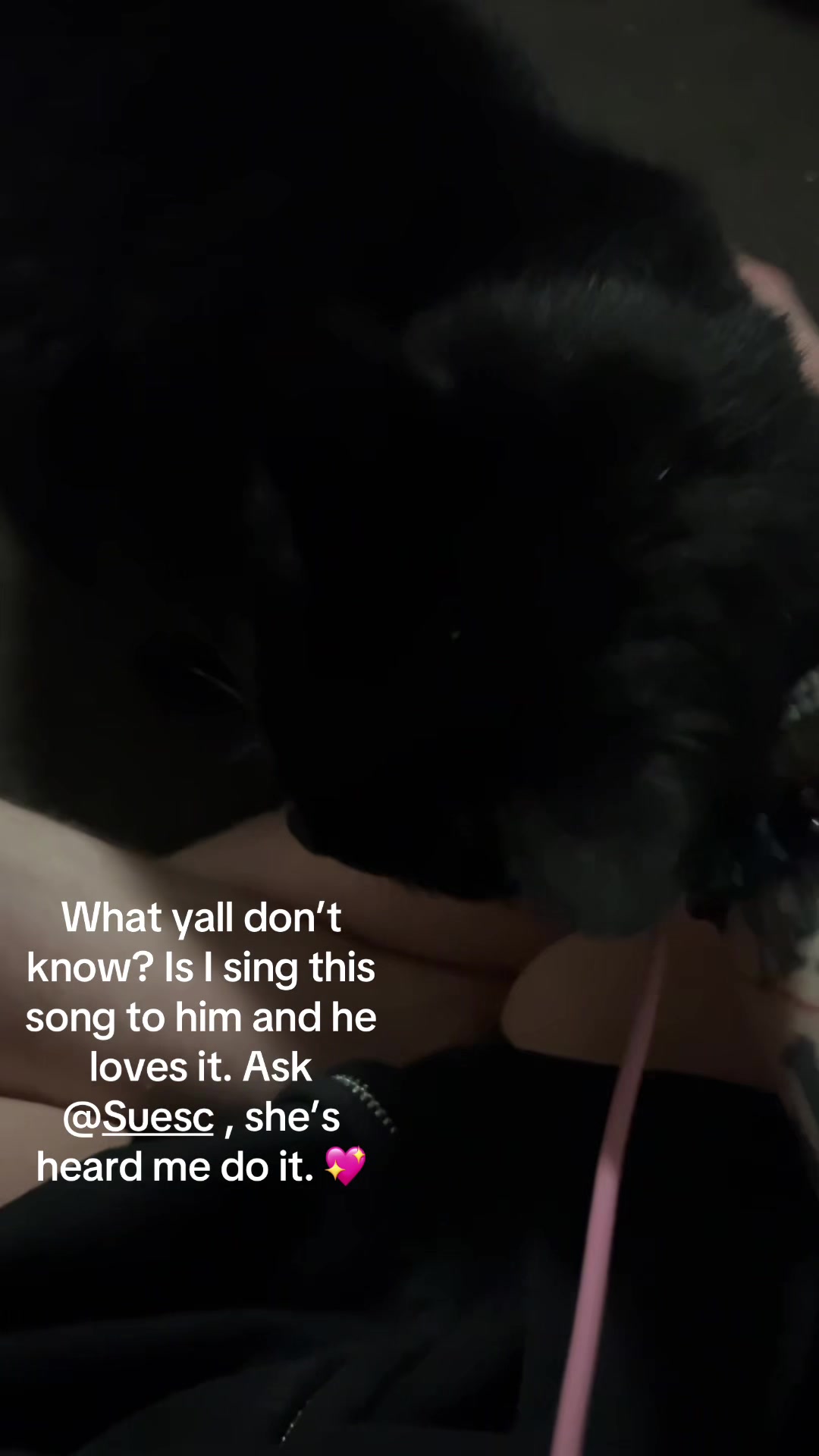@moonboy🦇