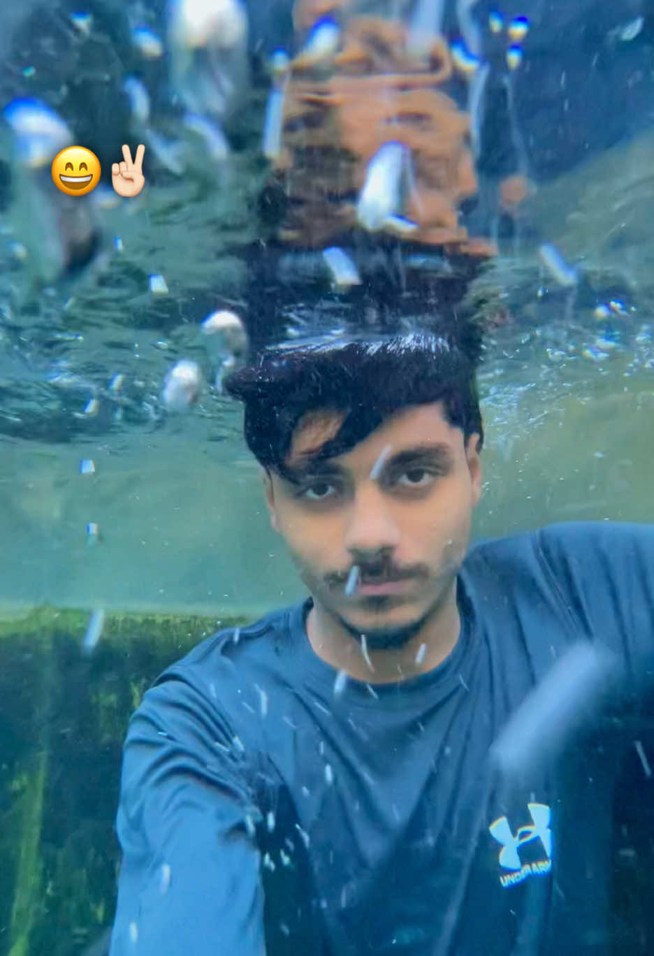 @🌱اویس میئو😎