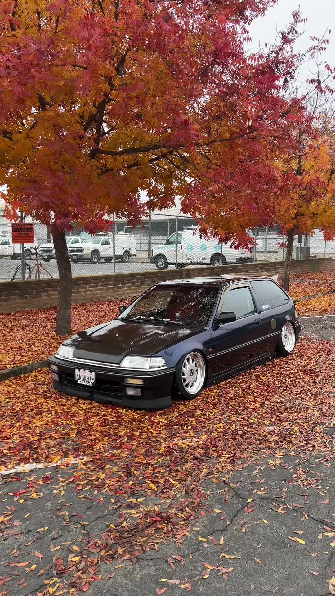@SI_OSCAR_