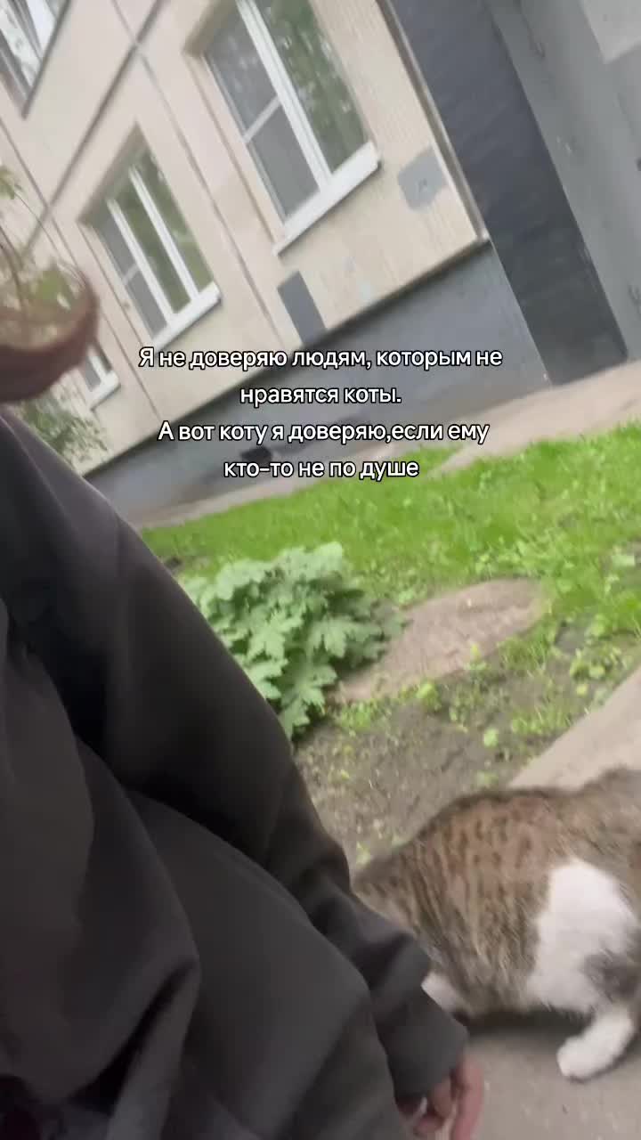 @евик💤