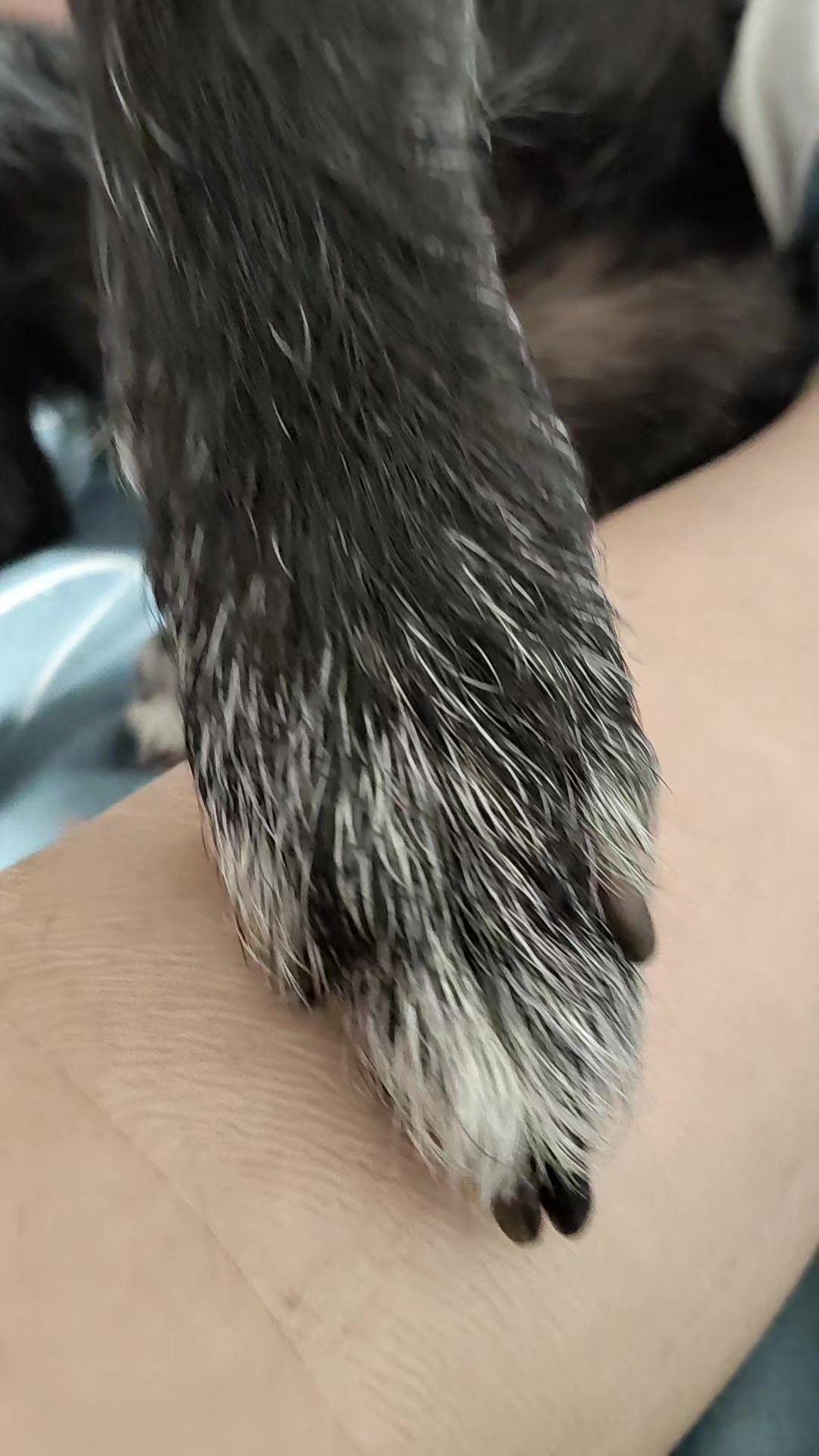 @лейв