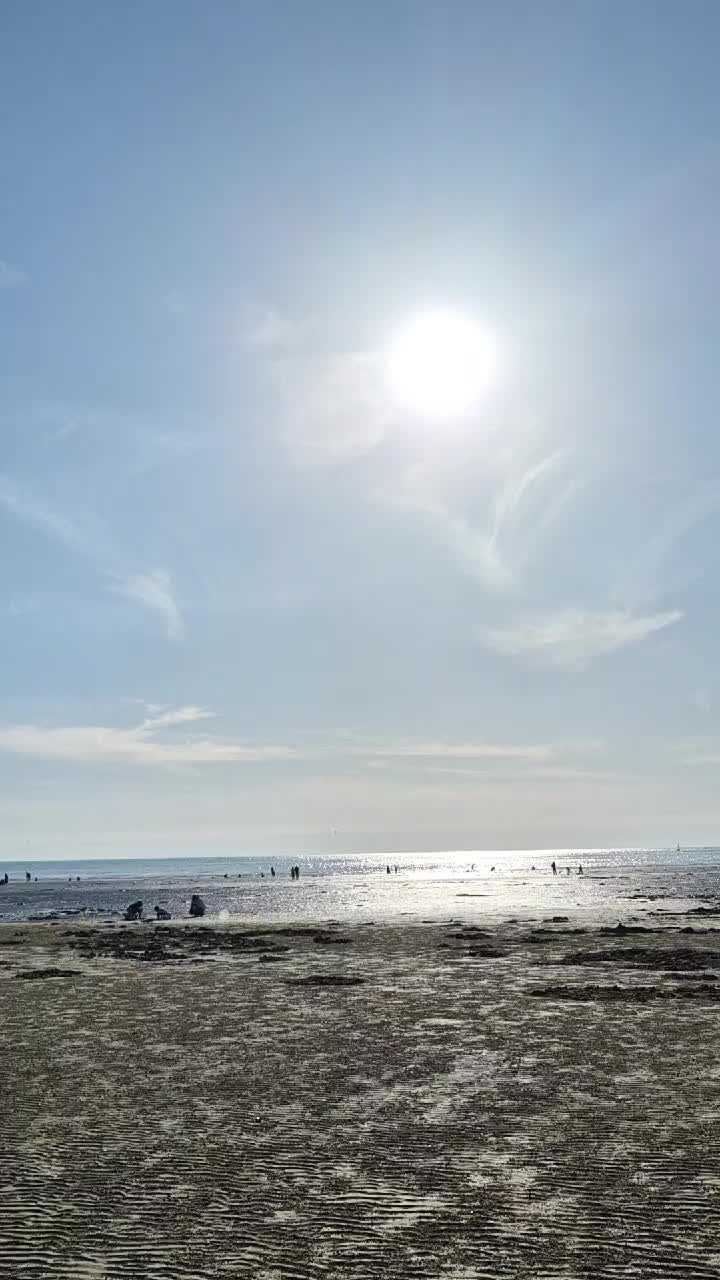 @캔디