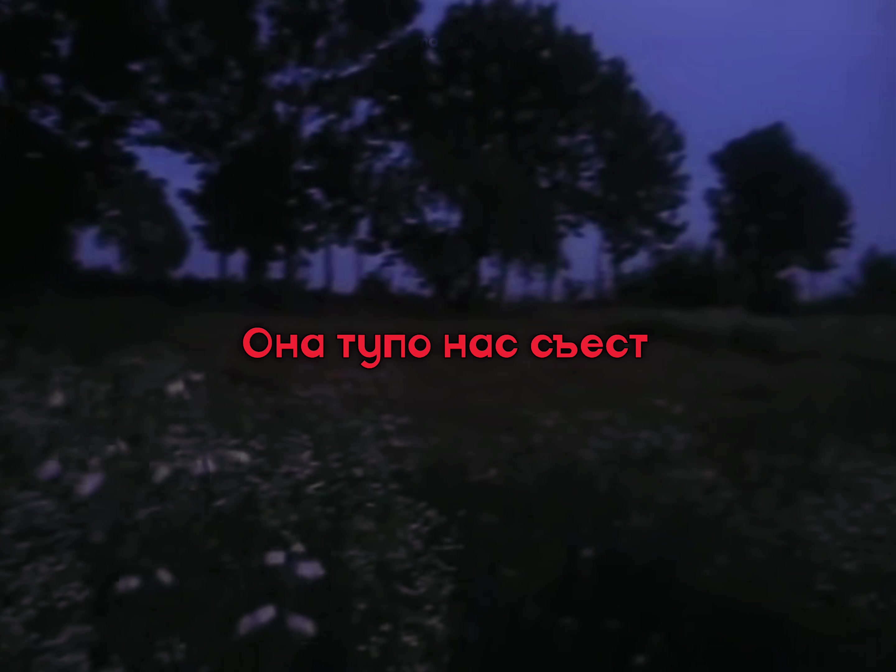 @маося✿*゚︎